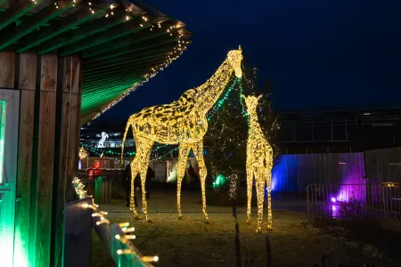 Lumagica Munich