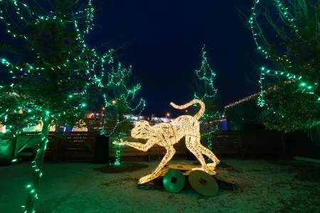 Lumagica Munich