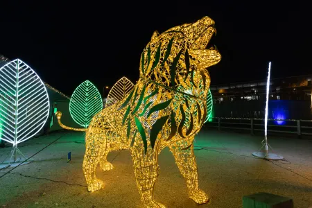 Lumagica Munich